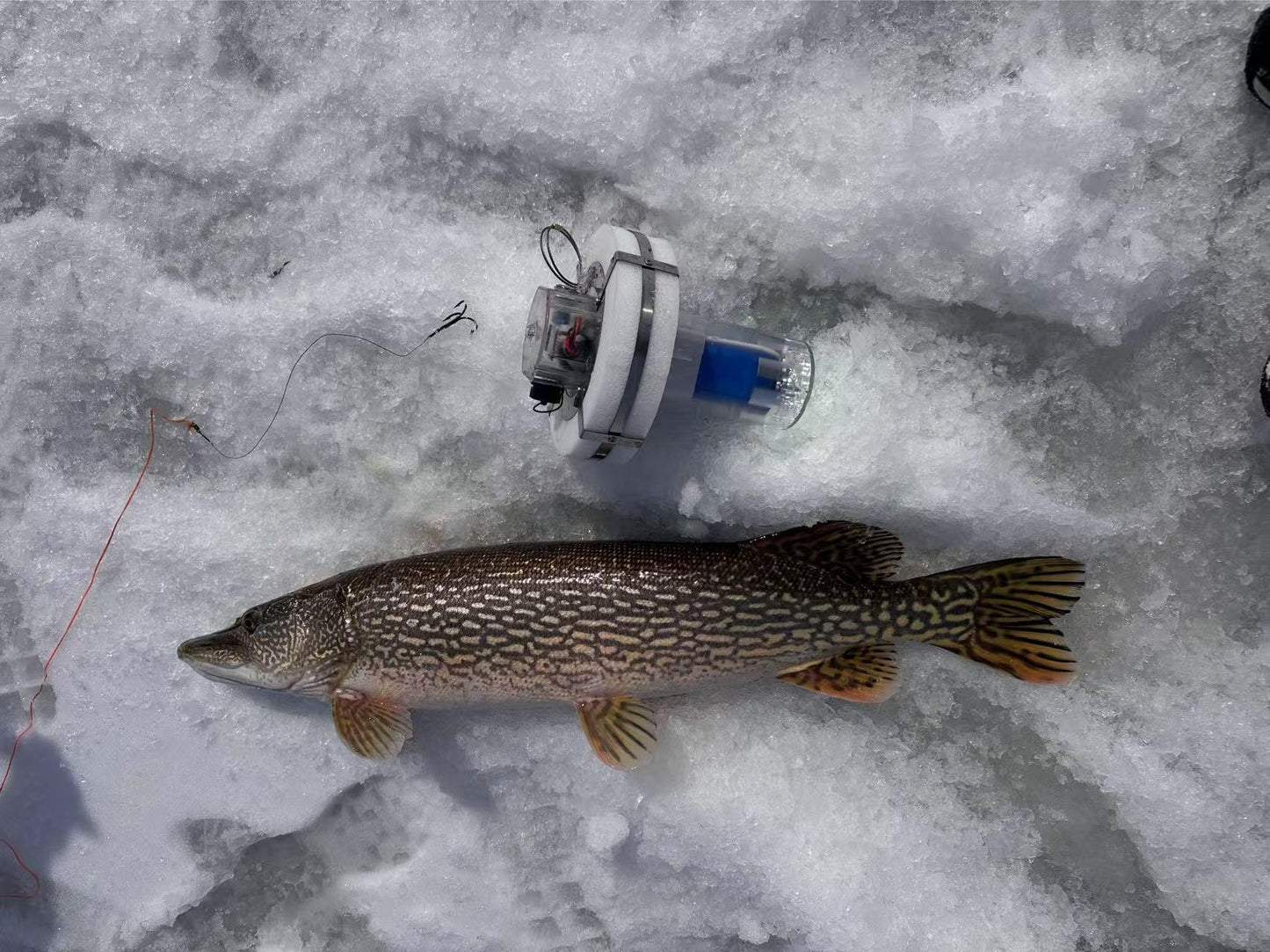 Recon Floating Fishing Light