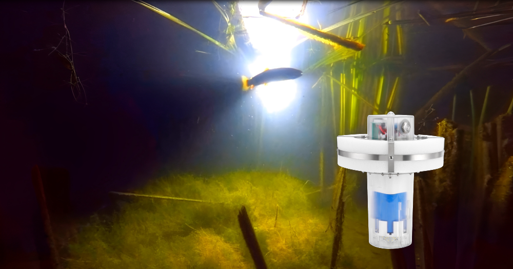 Dominate the Night: Extend Your Fishing Day with the Recon Light