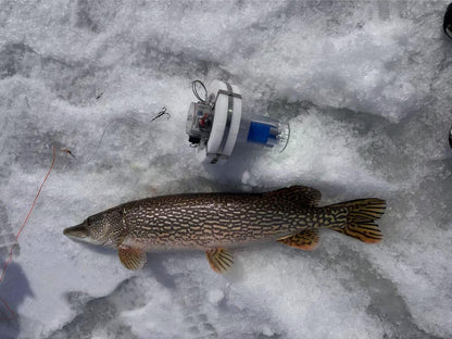 Recon Floating Fishing Light