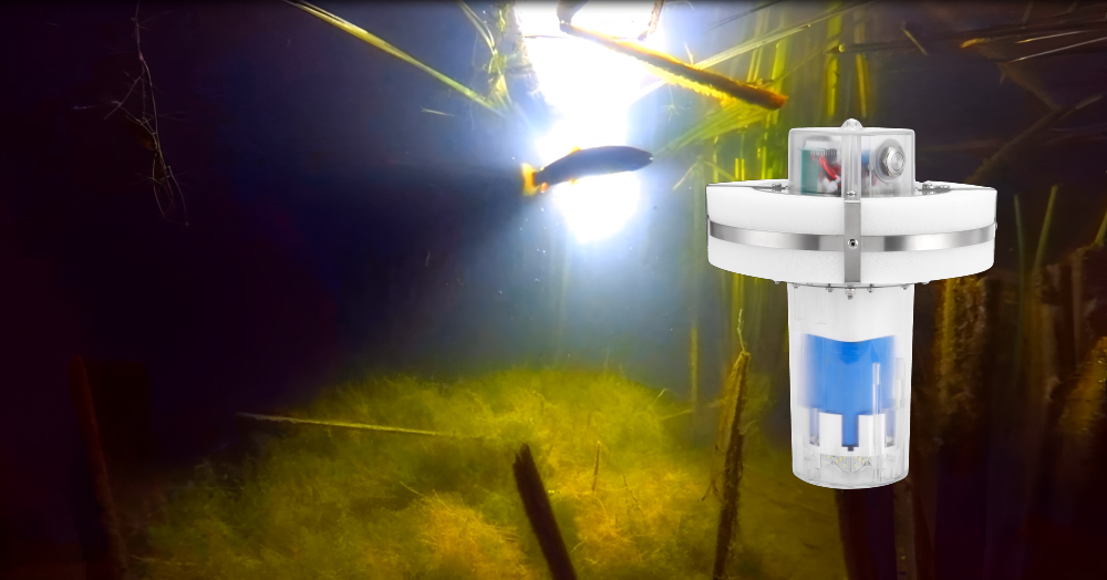 Flying Fish Light Recon Floating Fishing Light