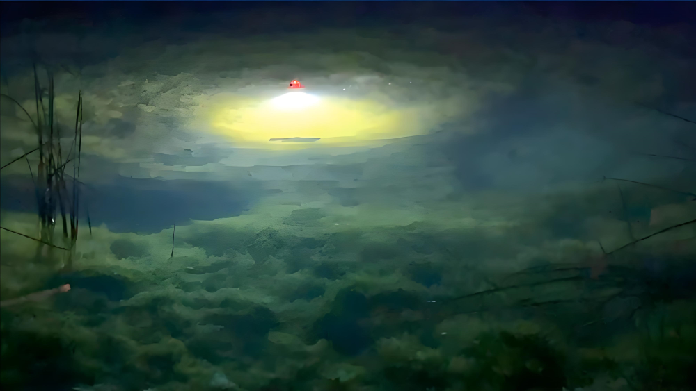 Recon Floating Fishing Light For Night Fishing